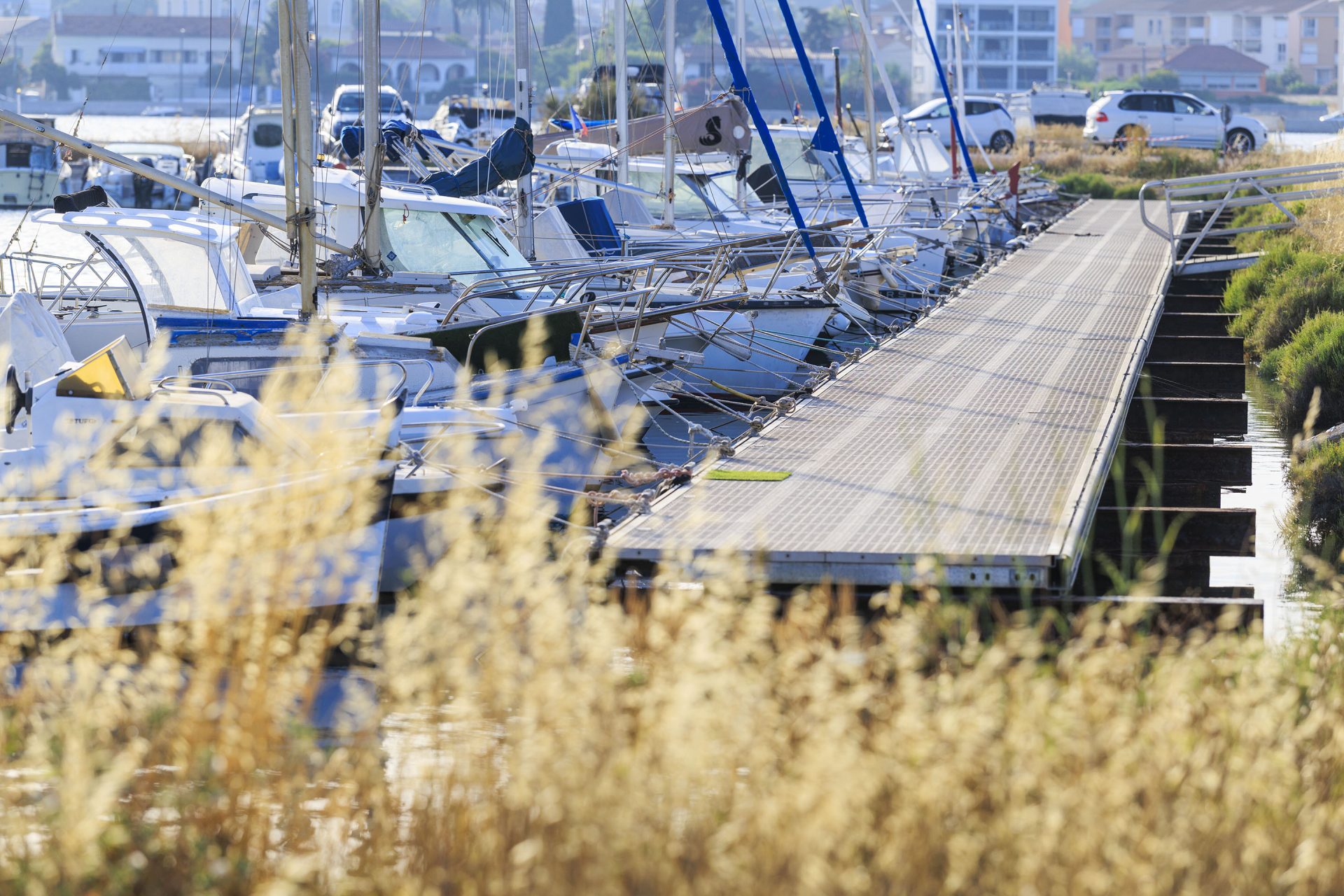 Vue sur la panne et ses bateaux, végétation au premier plan