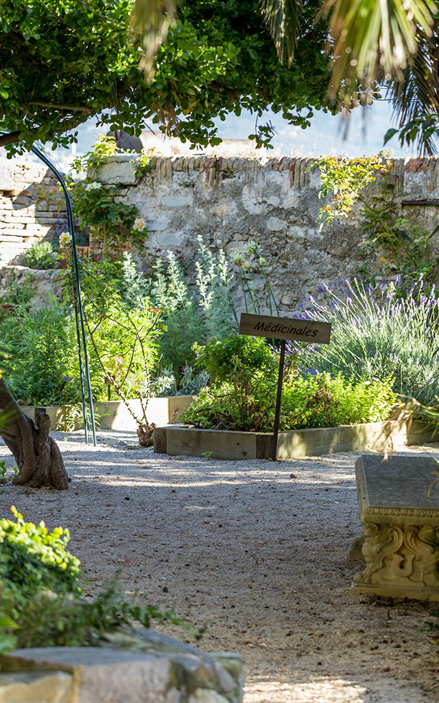 Jardin botanique du Musée Balaguier