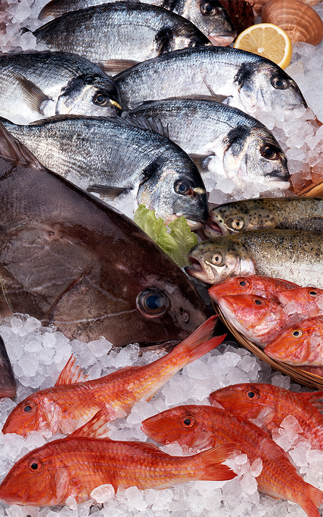 Étal de poisson frais