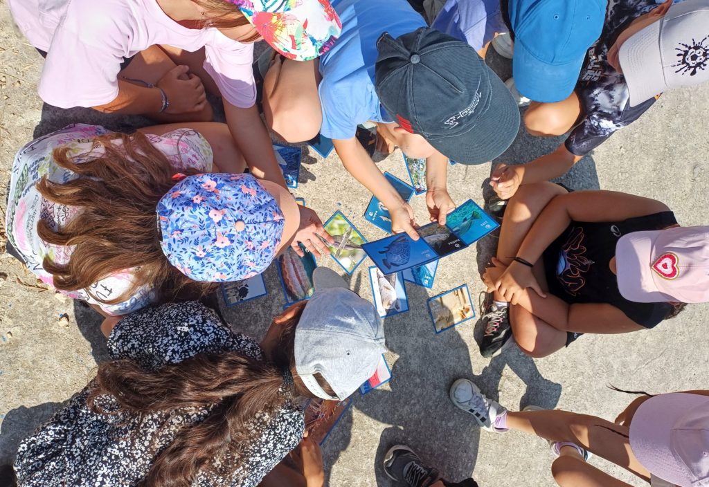 Journées de sensibilisation auprès des scolaires